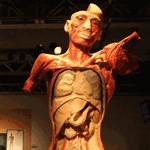 KCON Night at the Museum with Bodies Revealed